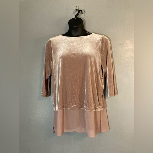 Alfani Tops - Alfani Rose Gold Velvet Sheer Bottom Blouse